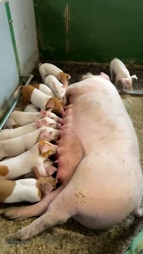 Sequence 01.00_00_48_22.Still008