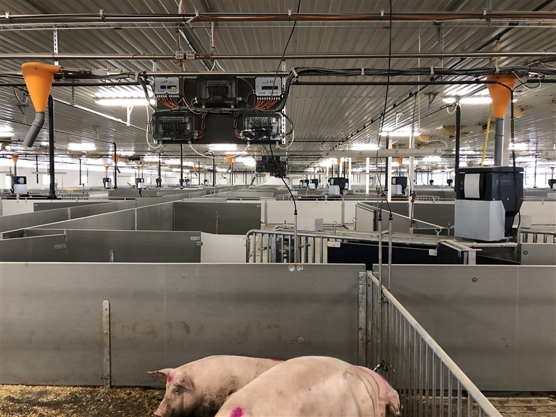 Example from 1800 sow farm with AirSys