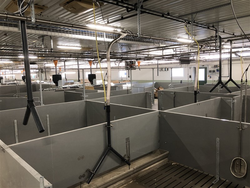 Same stable, same installation supplies individual feed, whether it is dry or wet feed.